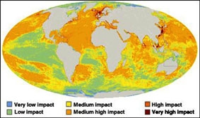 Hoạt động của con người tàn phá các đại dương