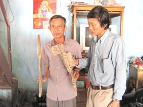 Làm giàu từ cây dó bầu Bảy Núi