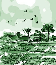 Cánh cò quê hương