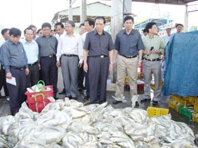 Phải nhanh chóng tháo gỡ những khó khăn cho ngư dân và doanh nghiệp