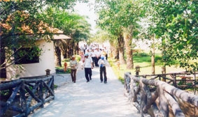 Băn khoăn "đất vàng" Cồn Ấu...