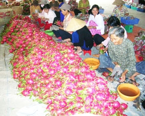 Hướng đến mục tiêu xuất khẩu