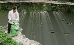 Nông dân rơi vào thế bị động