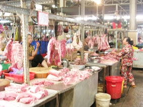 Đã có những tín hiệu khả quan!