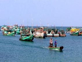Liên kết khai thác hải sản để giảm chi phí