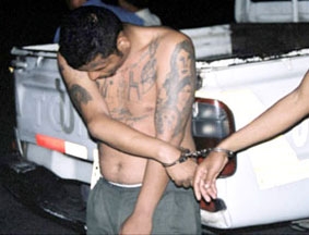 MS-13, băng nhóm tội phạm nguy hiểm nhất thế giới