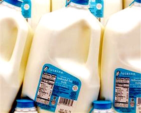 Biến rác thực phẩm thành nhiên liệu sinh học