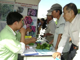 Đi tìm bước đột phá mới...