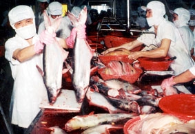 Hệ lụy từ một phong trào tự phát...