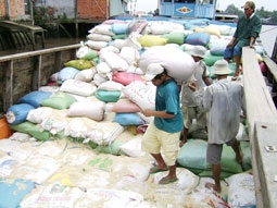 Giá lúa gạo tiếp tục tăng ?