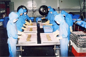 Đừng tự hại mình !