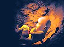 Có thể nhân bản thiên tài từ tế bào da?