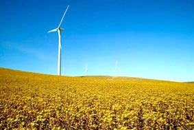 Bắt cây sản xuất hóa chất công nghiệp