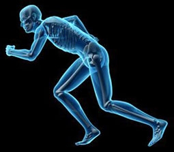 Cơ nhân tạo tự chữa thương