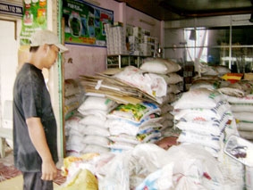 Nhà nông đối mặt với nỗi lo tăng chi phí...