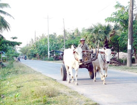 Phương tiện đi lại ở Đồng bằng sông Cửu Long xưa