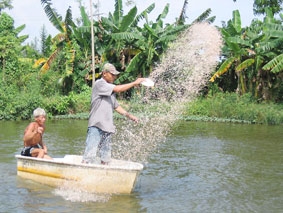 Nghịch lý giá cá tra!