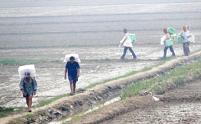 An Giang: Mạnh tay với nạn buôn lậu