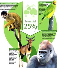 Mỗi ngày thế giới mất đi 150 loài động, thực vật