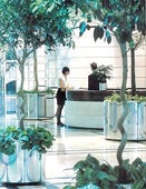 Cây kiểng không chỉ có tác dụng trang trí