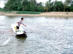 Người nuôi cá tra đang "sống dở, chết dở"!