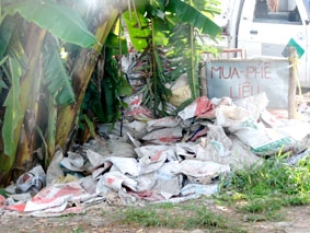 Hệ lụy môi trường từ những chiếc túi nhựa, ni-lông