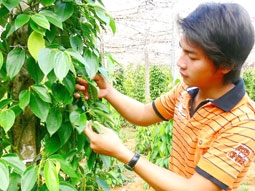 Tiêu Phú Quốc khẳng định thương hiệu mạnh