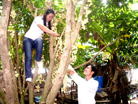 Nhà vườn làm du lịch sinh thái