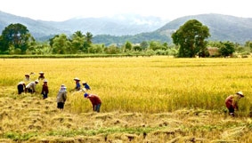 Thái Lan hỗ trợ nông dân