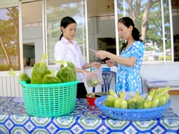 Trên 2 tấn rau an toàn Hòa An được tiêu thụ tại TP Cần Thơ