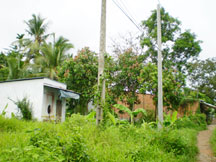 Nỗi sầu tái định cư!