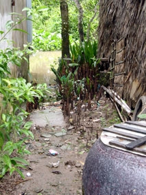 Bức xúc chuyện nước sạch