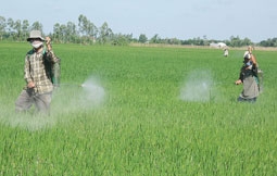 Lợi bất cập hại?