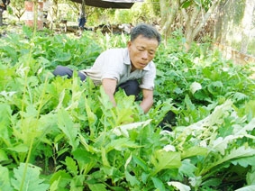 Bảo tồn và phát triển dược liệu vùng Bảy Núi