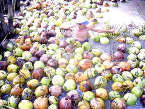 Nhà nông phấn chấn nhất thời ?