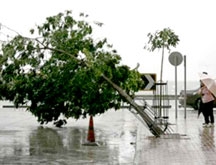 Bão Fengshen đổ bộ vào bờ biển Trung Quốc