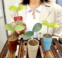 “Đồ chơi” cho người lớn ở Nhật