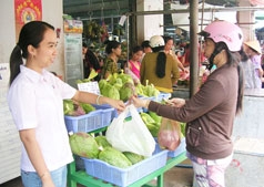 Triển vọng rau an toàn Hòa An