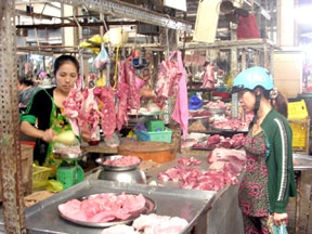 Người nuôi heo ngắc ngoải...