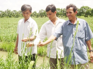 Những mô hình nông dân làm giàu