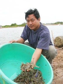 Lợi nhuận cao, nhưng còn nhiều lo ngại