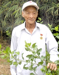 Ông già thuốc nam