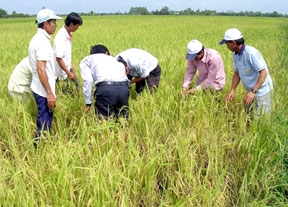 Báo động và khuyến cáo