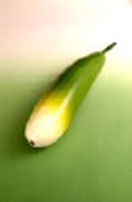 Rau củ giàu dinh dưỡng thường gặp