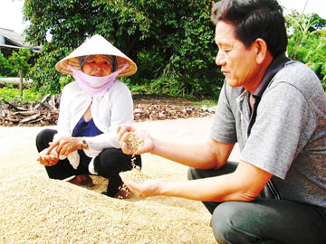 Đảng viên là như thế!