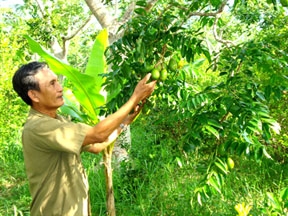 Những thương binh vượt khó