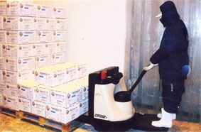 Đón đầu dịch vụ cho thuê kho lạnh