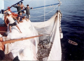 Niềm vui đã đến với ngư dân