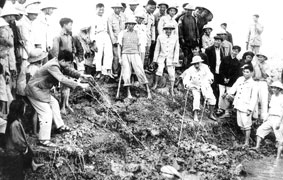 Chủ tịch Hồ Chí Minh với nông dân
