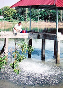 Bảo tồn các loài thủy đặc sản